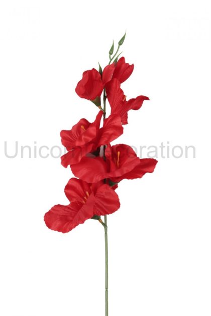 Gladiola /satén/ - ks